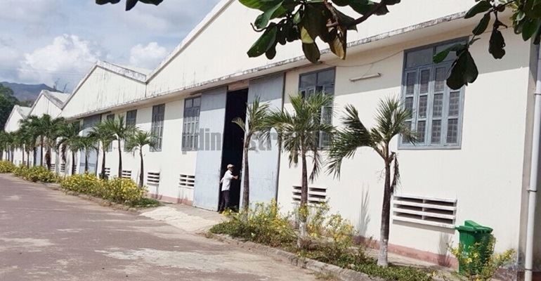 factory rent binh dinh1